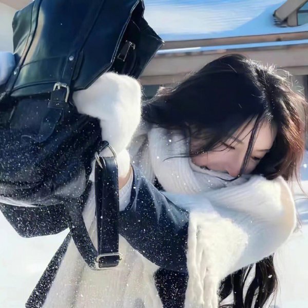 狐獴家族